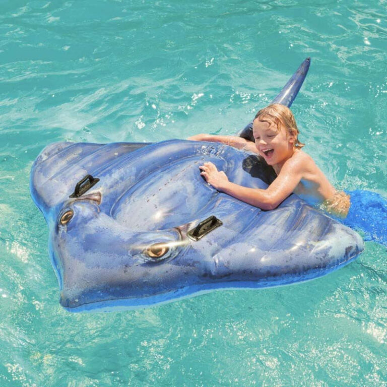 Poisson Raie Manta Gonflable Intex 57550 – Bleu Tunisie
