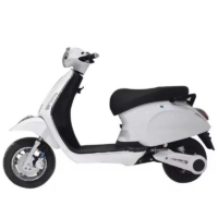 Scooter Électrique Wolf Vero 1000 Watts – Blanc Tunisie