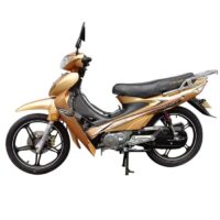 Moto Zimota Partner 109cc – Gold – PARTNER-Gold Tunisie