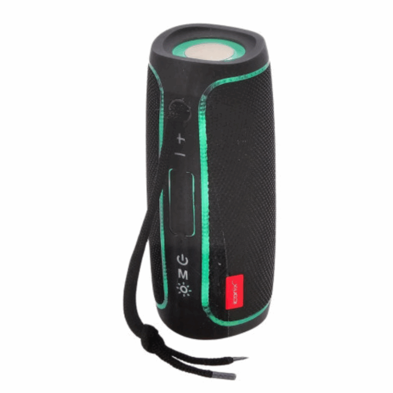 Haut-parleur Iconix Sans Fil – Noir – IC-BS1341 Tunisie