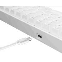 Clavier Gaming Mécanique White Shark Shinobi Gk-2022 Rgb Red Switches – Blanc Tunisie