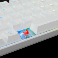 Clavier Gaming Mécanique White Shark Shinobi Gk-2022 Rgb Red Switches – Blanc Tunisie