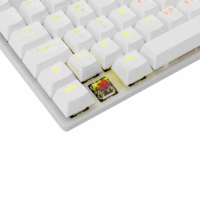 Clavier Gaming Mécanique White Shark Commandos GK-2106 / RGB / Blanc / Red Switches Tunisie