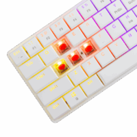 Clavier Gaming White Shark Nagamaki Red Switches – Blanc- GK-006211 Tunisie