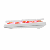 Clavier Gaming White Shark Nagamaki Red Switches – Blanc- GK-006211 Tunisie