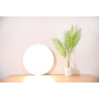 Lampe Plafonnier Xiaomi Mi Smart Led 450mm – BHR4118GL Tunisie