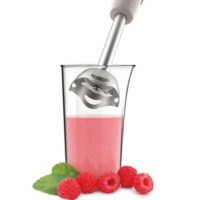 Mixeur Plongeant Moulinex Soleil Ivoire DD471A10 450 W Beige Tunisie