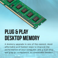 Barrette Mémoire Pny Ddr3 1600mhz 8gb -md8gsd31600nhs Tunisie