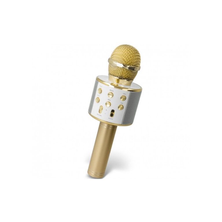 Microphone Karaoké Bluetooth Avec Enceinte Forever – Bms 300 lite- dore – GSM116524 Tunisie
