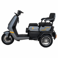 Scooter Électrique NOVAGO Tricity – Gris Tunisie