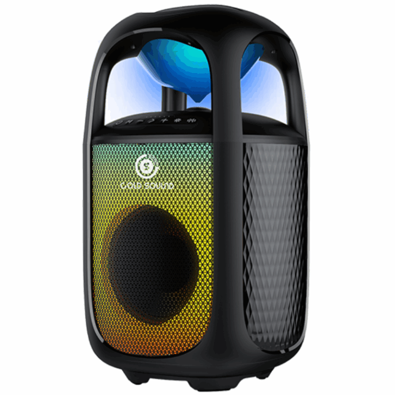 Haut parleur Sans Fil Gold Sound -Noir – GS-UF65 Tunisie