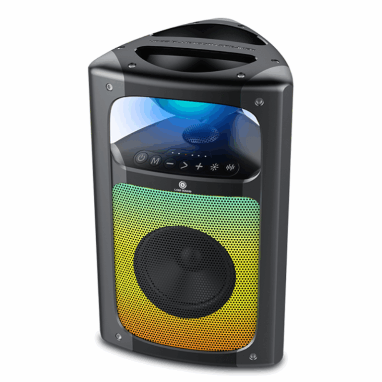 Haut parleur Sans Fil Gold Sound -Noir – GS-UF35 Tunisie