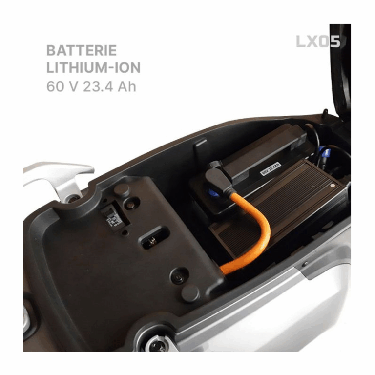 Scooter Électrique LVNENG LX05 Vert Tunisie