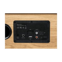 Haut Parleur Bluetooth Résidentielle En Bois Thomson Cosy 150 w – WS702 Tunisie