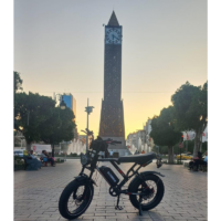 Bicyclette Électrique Ecoride Er2-v2 500w – Noir – EC-ER2-HYDRAULIQUE Tunisie