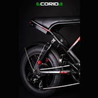 Bicyclette Électrique Ecoride Er2-v2 500w – Noir – EC-ER2-HYDRAULIQUE Tunisie