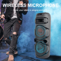 Haut-parleur Double Mode Sing-E karaoké DJ avec éclairage LED RVB – Noir – ZQS2801 Tunisie
