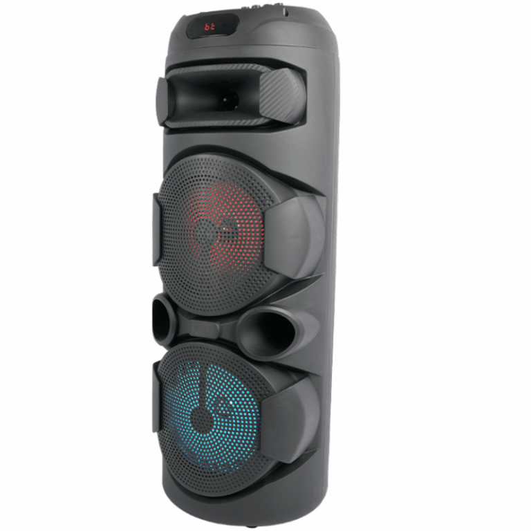 Haut-parleur Double Mode Sing-E karaoké DJ avec éclairage LED RVB – Noir – ZQS2801 Tunisie
