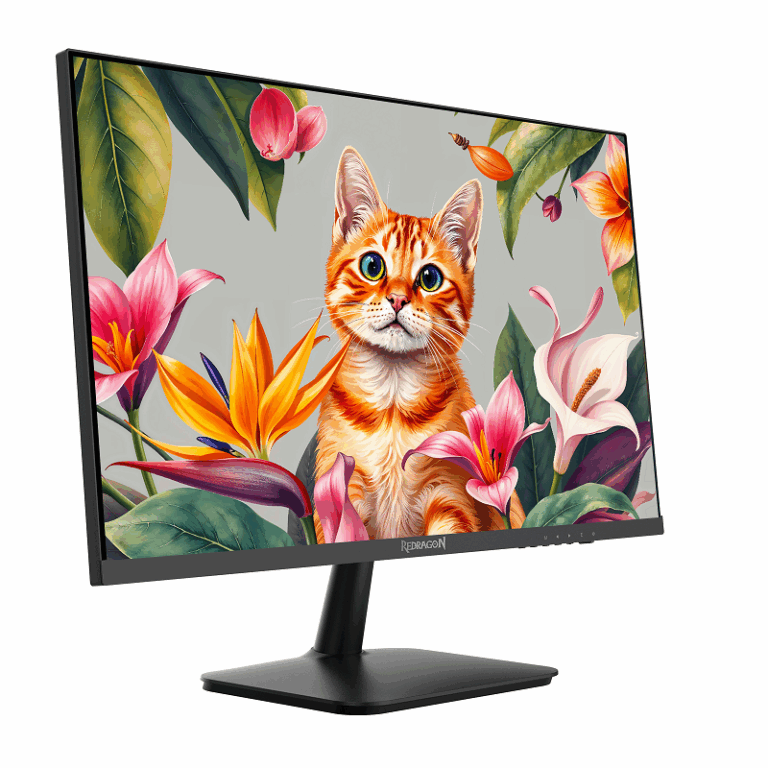 Ecran Redragon LEPTIS II 27″ 100Hz 2K IPS – BM27V9Q-II Tunisie