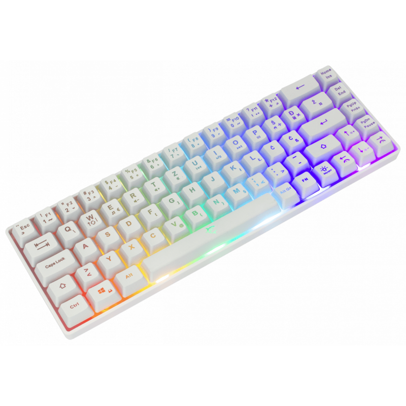 Clavier Gaming White Shark Ronin Gk-2201 – Blanc – GK-2201WHI Tunisie