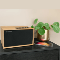 Haut Parleur Bluetooth Résidentielle En Bois Thomson Cosy 50 w – WS302 Tunisie