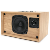 Haut Parleur Bluetooth Résidentielle En Bois Thomson Cosy 50 w – WS302 Tunisie