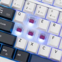 Clavier Gaming White Shark GK-007251 Excalibur – Blanc Tunisie