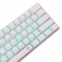 Clavier Mécanique WHITE SHARK SHINOBI 2 GK-004231 Blanc – Brown Switch Tunisie