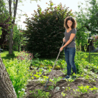 Houe de désherbage NatureLine 16 cm Gardena – 17109-20 Tunisie
