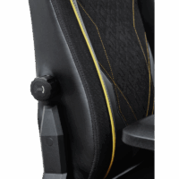 Chaise Gaming Trust GXT721 Ruya Pro Premium Avec Accoudoirs – Noir – 25186 Tunisie