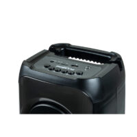 Enceinte lumineuse Portable BIGBEN 50W – Noir – PARTYBTHPM Tunisie