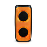 Enceinte lumineuse Portable BIGBEN 50W – Noir – PARTYBTHPM Tunisie