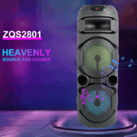 Haut-parleur Double Mode Sing-E karaoké DJ avec éclairage LED RVB – Noir – ZQS2801 Tunisie
