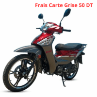 Scooter Électrique LVNENG LX04 Blanc Tunisie