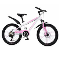 Vélo Enfant Best Bike 20″ – Gris – L-20 Tunisie