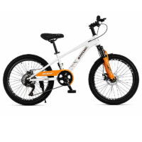 Vélo Enfant Best Bike 20″- Bleu – FF-20-B Tunisie