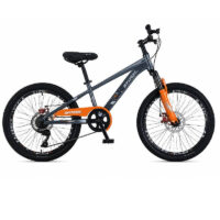 Vélo Enfant Best Bike 20″- Beige – FF-20-BE Tunisie