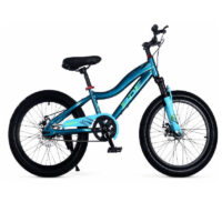 Vélo Enfant Best Bike 20″- Vert – SZW-20-V Tunisie