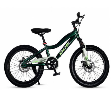 Vélo Enfant Best Bike 20″- Vert – SZW-20-V Tunisie