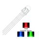 Cathode-Commune-LED-RVB-rouge-vert-bleu-de-5-mm-Best-buy-tunisie-prix-tunisie-1.jpg