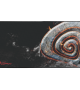 Tapis-Genesis-Carbon-500-Maxi-Lava-Best-buy-tunisie-prix-tunisie.png