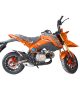 moto-cross-ftm-korak-orange.jpg