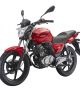 moto-zimota-rks-rouge.jpg